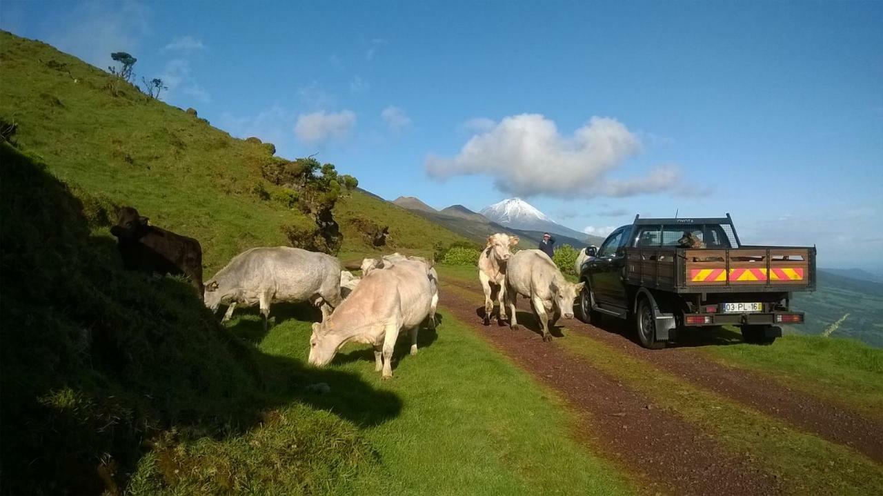 Alto Da Bela Vista Villa Terra Alta Buitenkant foto